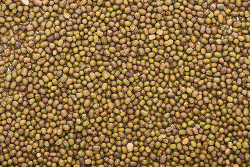 top view of uncooked green moong beans