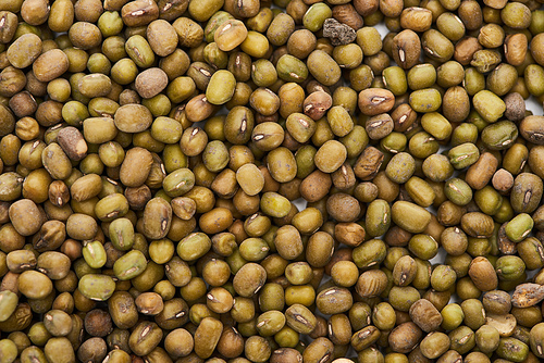 top view of uncooked green mung beans