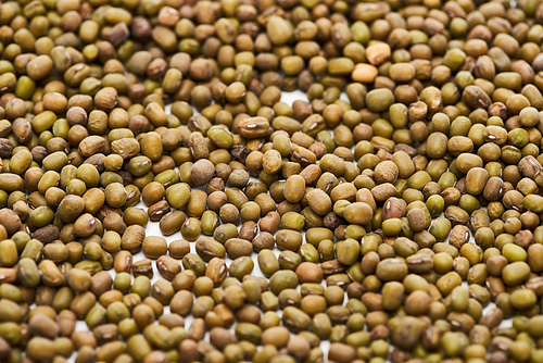 top view of raw green maash beans