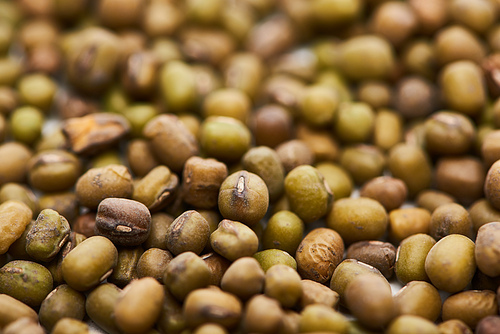 close up view of raw green moong beans