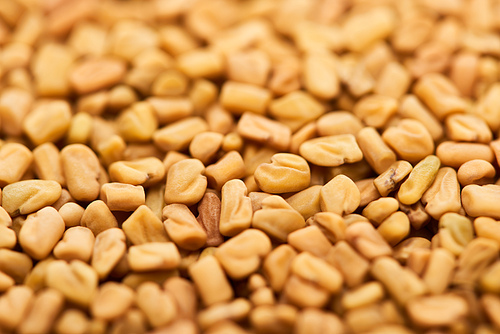 close up view of raw organic bulgur grains