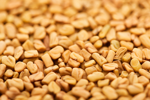 close up view of uncooked whole organic bulgur