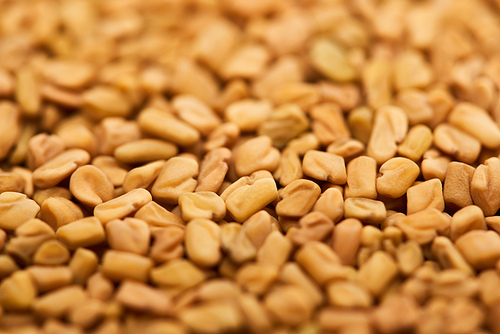 close up view of uncooked bulgur grains