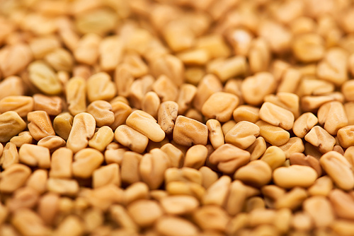close up view of unprocessed bulgur grains