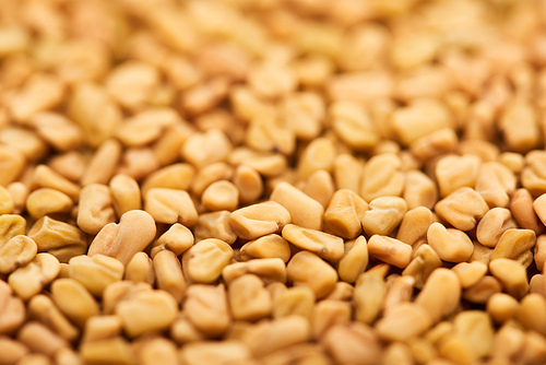 close up view of uncooked bulgur whole grains