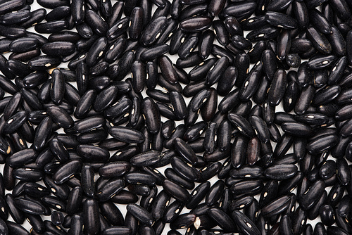 top view of small organic black beans