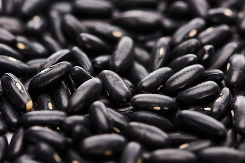 close up view of unprocessed small black beans