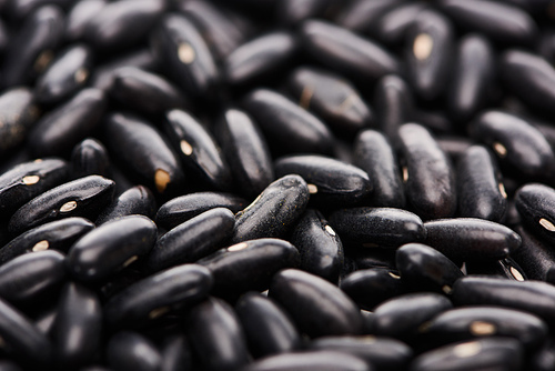close up view of uncooked small black beans
