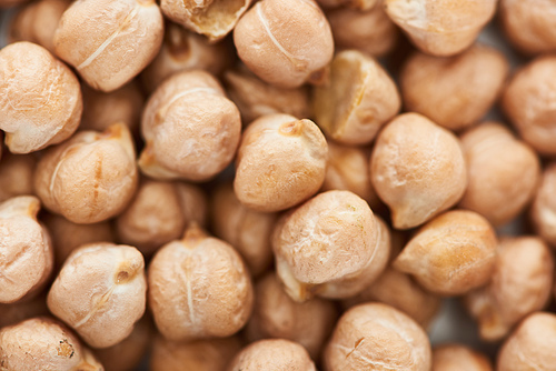 close up view of uncooked chickpea seeds