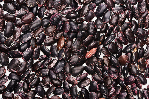 top view of uncooked organic big black beans