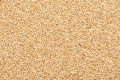 top view of raw seeds of organic white quinoa