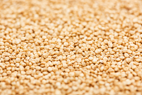 close up view of uncooked seeds of organic white quinoa