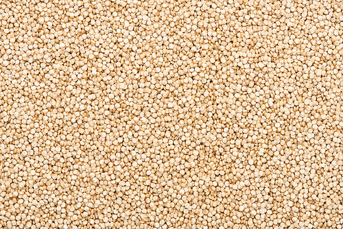 top view of unprocessed white quinoa seeds