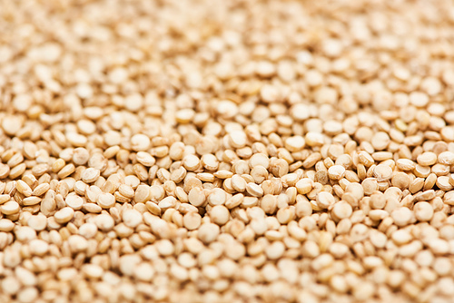 close up view of small raw white quinoa seeds