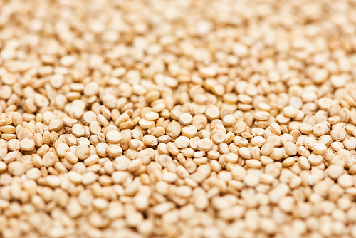 close up view of unprocessed white quinoa seeds