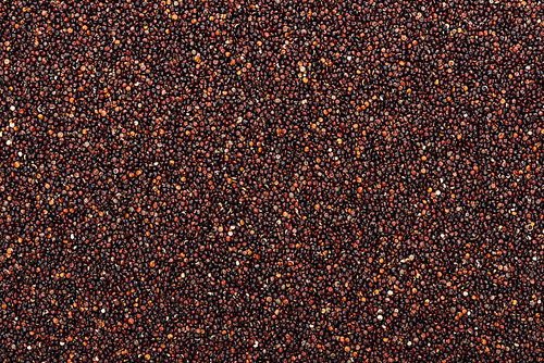 top view of raw organic black quinoa