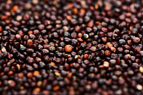 close up view of unprocessed organic black quinoa