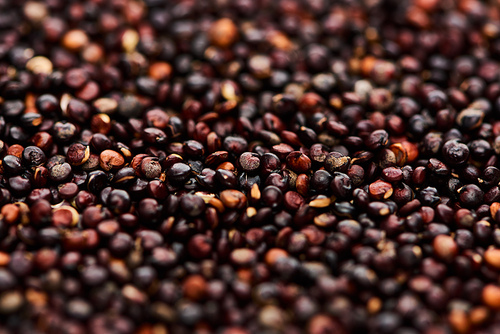close up view of raw organic black quinoa