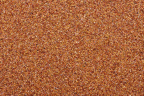 top view of raw organic red quinoa