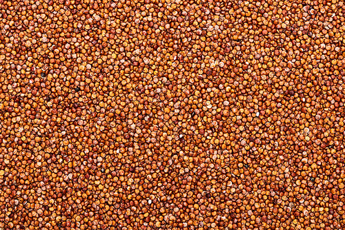 top view of uncooked organic red quinoa seeds