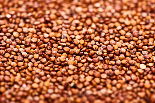 close up view of raw organic red quinoa