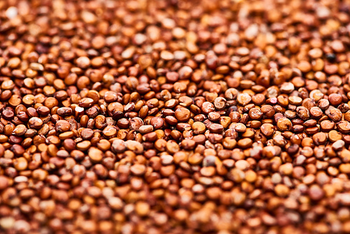 close up view of raw organic red quinoa seeds