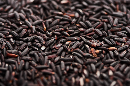 close up view of uncooked organic black rice
