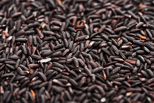 close up view of unprocessed organic black rice