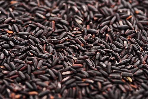 close up view of raw organic black rice