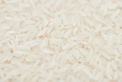 close up view of raw organic white rice