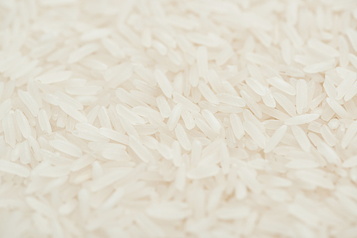 close up view of uncooked organic white rice