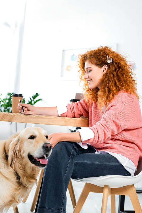 attractive and smiling woman in pink sweater stroking golden retriever in office