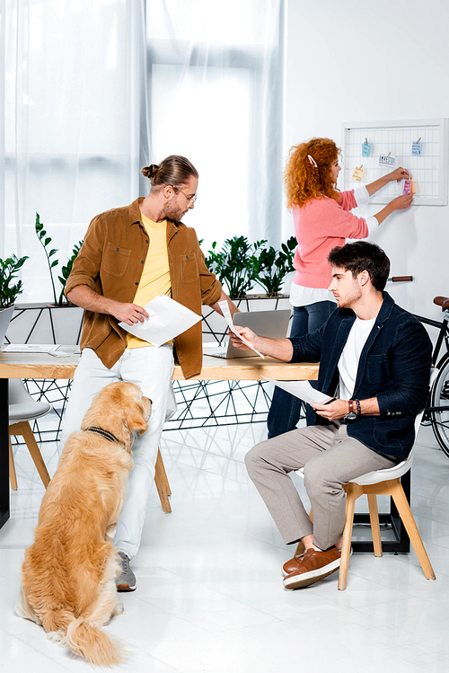 handsome friends doing paperwork and golden retriever sitting in office