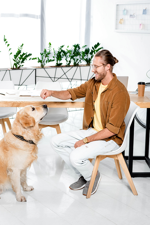smiling and handsome man feeding cute golden retriever in office