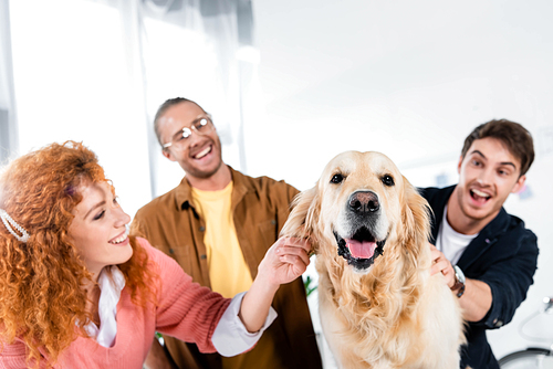 selective focus of three smiling friends stroking cute golden retriever in office