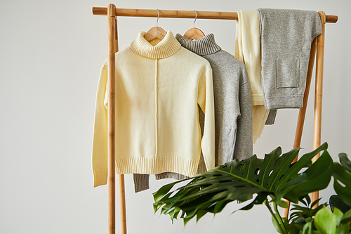 beige and grey knitted soft sweaters and pants hanging on wooden rack near green plant  isolated on white