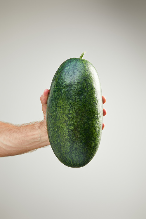 cropped view of man holding ripe whole watermelon isolated on grey