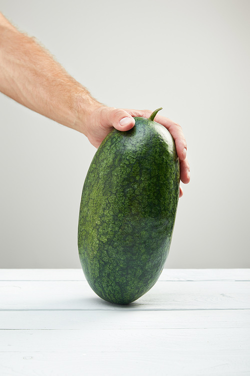 cropped view of man holding ripe whole watermelon on wooden table isolated on grey