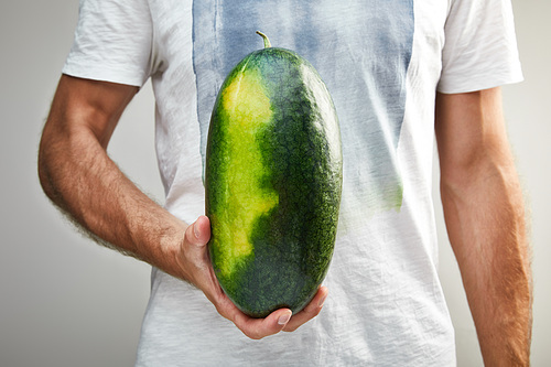 partial view of man holding ripe whole watermelon isolated on grey