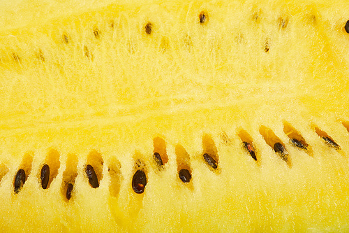 close up view of yellow juicy ripe watermelon with seeds