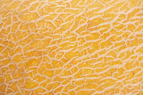 close up view of yellow