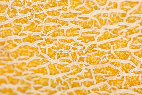 close up view of textured yellow