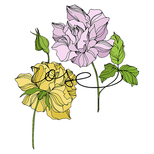 Vector Rose floral botanical flowers. Wild spring leaf wildflower isolated. Engraved ink art. Isolated roses illustration element on white .