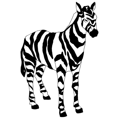 vector exotic zebra wild animal isolated. black and white engraved ink art. isolated animal illustration element on white .