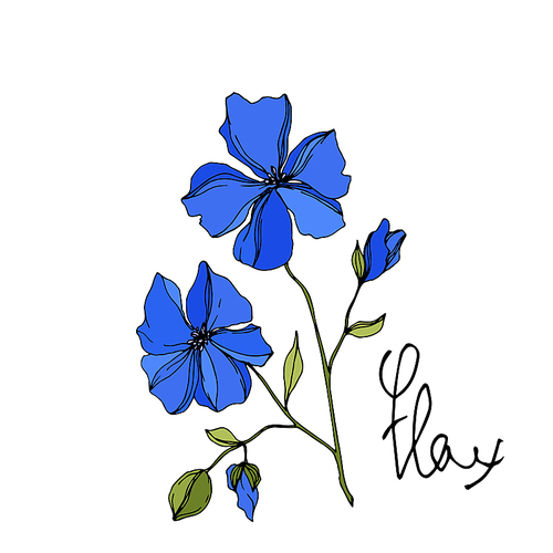 Vector Flax floral botanical flowers. Wild spring leaf wildflower isolated. Blue and green engraved ink art. Isolated flax illustration element on white .