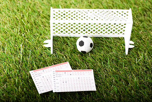 toy football gates, ball and betting lists on green grass, sports betting concept