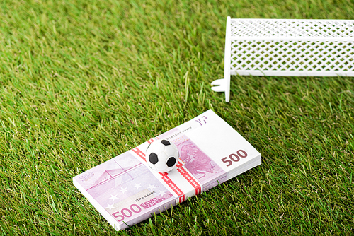 toy soccer ball and euro banknotes near miniature football gates on green grass, sports betting concept