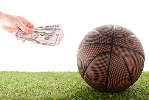 cropped view of female hand with dollar banknotes near basketball ball on green grass isolated on white, sports betting concept