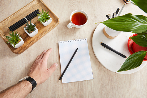 top view of male hand near green plants, cup of tea and blank notebook with pencils and pens on wooden surface