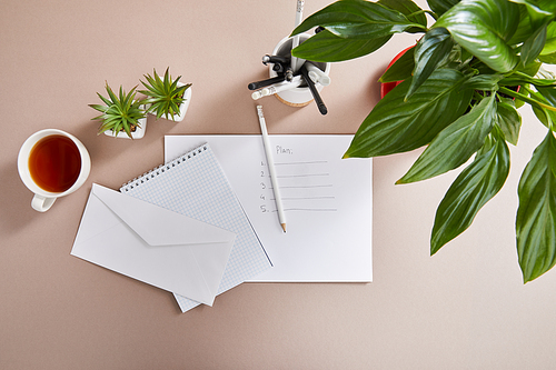 top view of green plants, cup of tea, envelope, blank notebook, pencils and pens and paper with plan lettering on beige surface